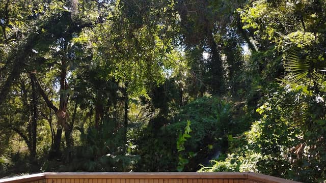 Rainbow Springs - Image 2