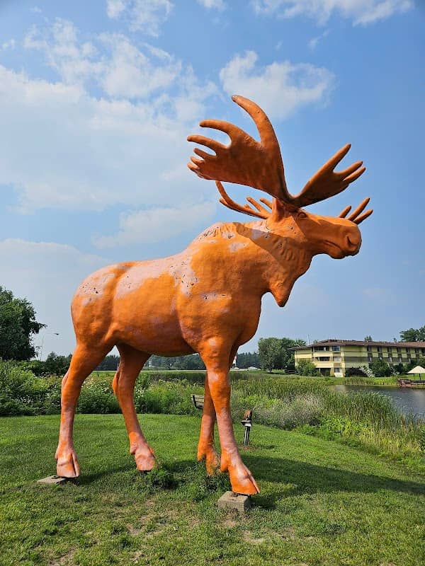 Orange Moose - Image 1