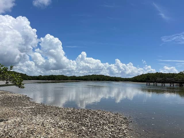 Cedar Key Railroad Trestle Nature Trail - Image 3