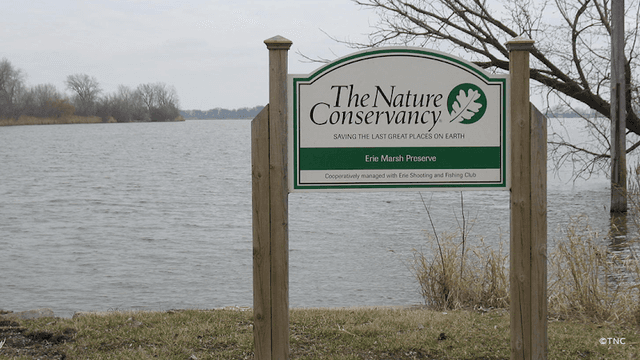 Erie Marsh Preserve - Image 2