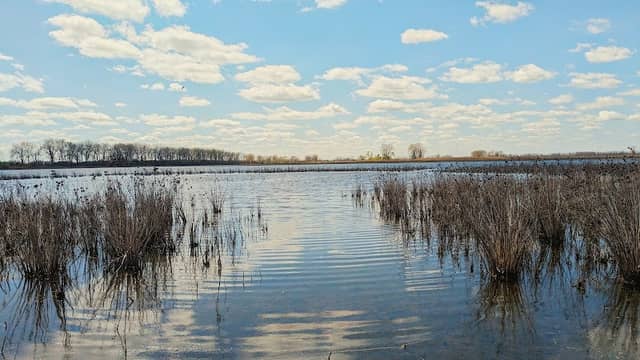 Erie Marsh Preserve - Image 3