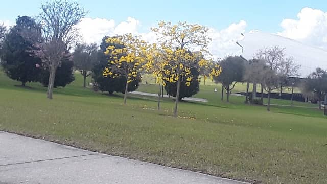 Apopka City-Athletic Complex - Image 2