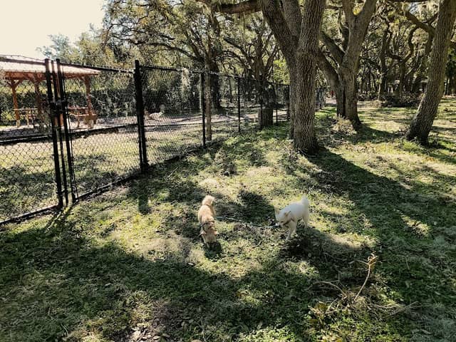 Happy Tails Dog Park - Image 2