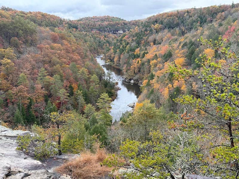 Lilly Bluff Trailhead - Image 2