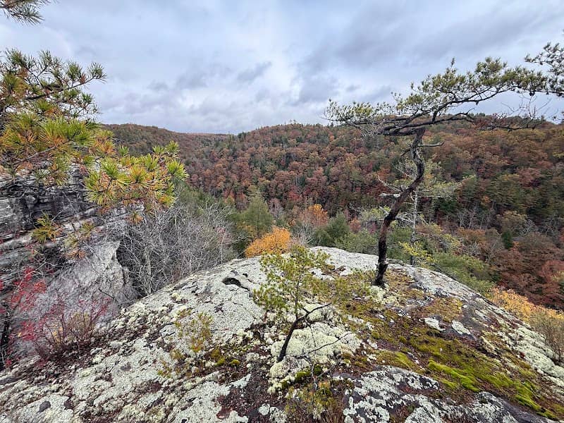 Lilly Bluff Trailhead - Image 1