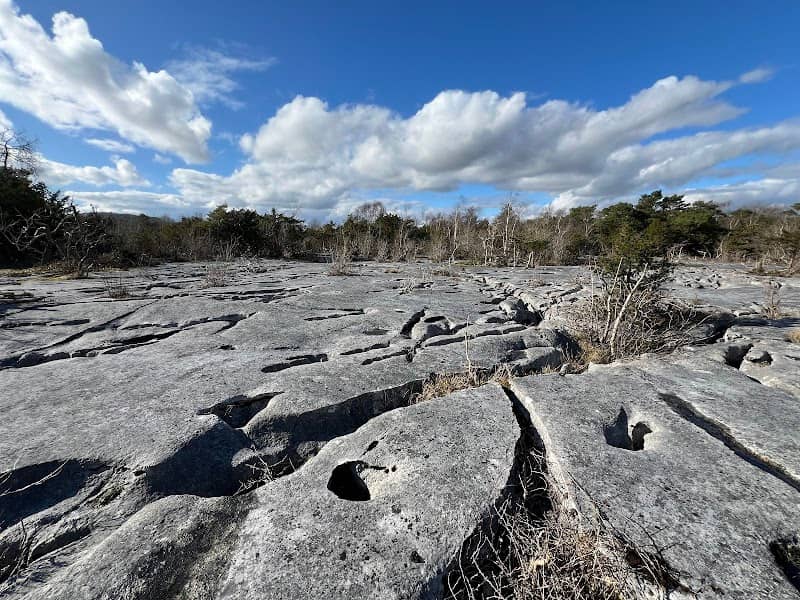 Gait Barrows National Nature Reserve - Image 2