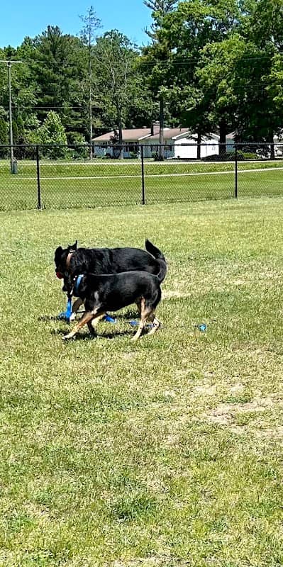 Caseville Township Dog Park - Image 1