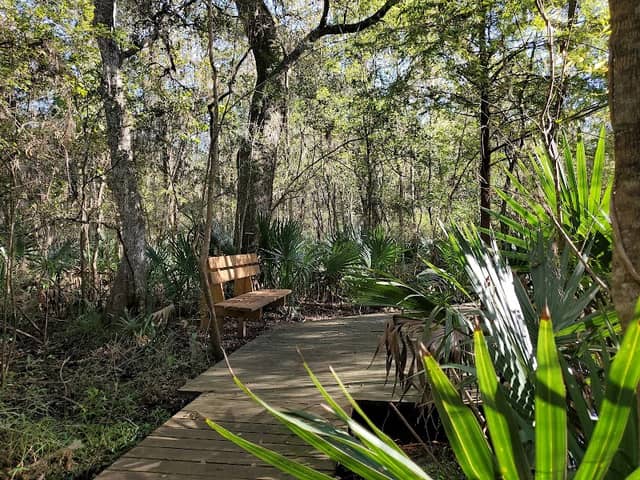 Gulf Coast Bird Observatory - Image 1