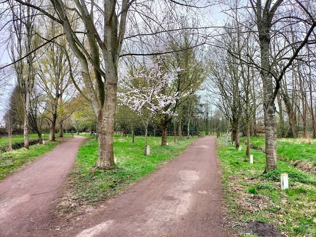 Johannes Park - Image 2