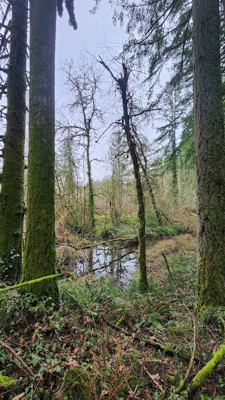 Rotary Nature Preserve at Tice Woods - Image 3