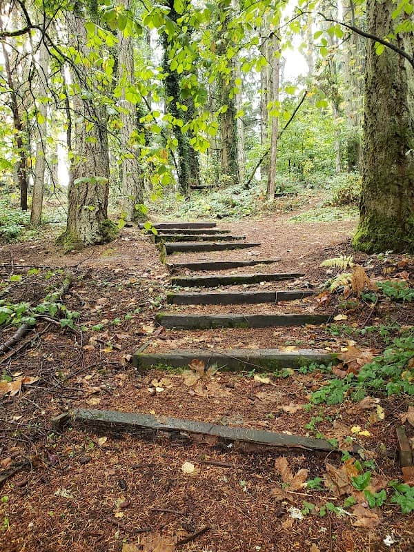 Rotary Nature Preserve at Tice Woods - Image 2