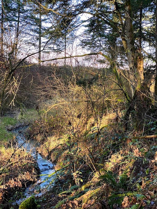 Rotary Nature Preserve at Tice Woods - Image 1