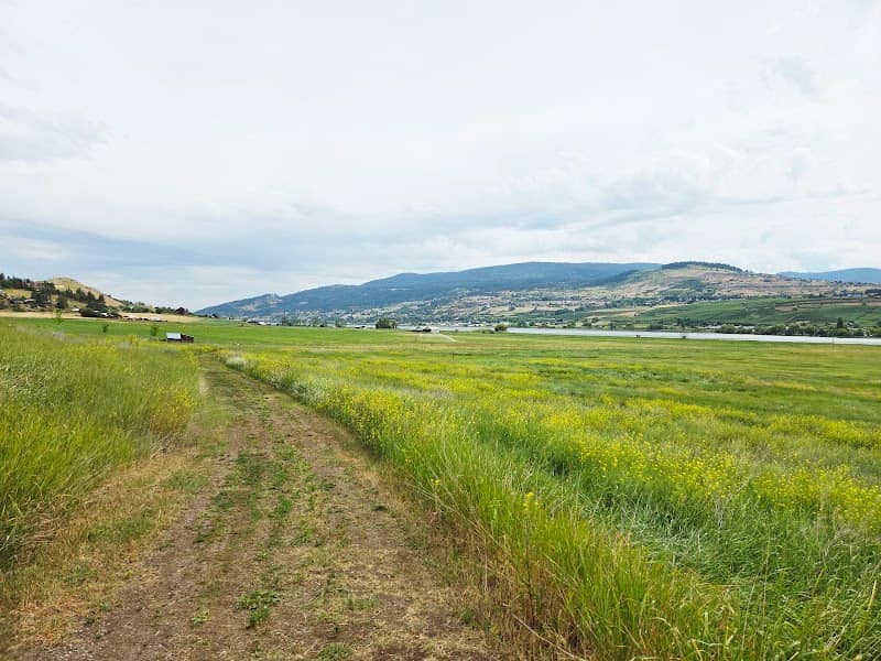 Swan Lake Nature Reserve & Trails - Image 3