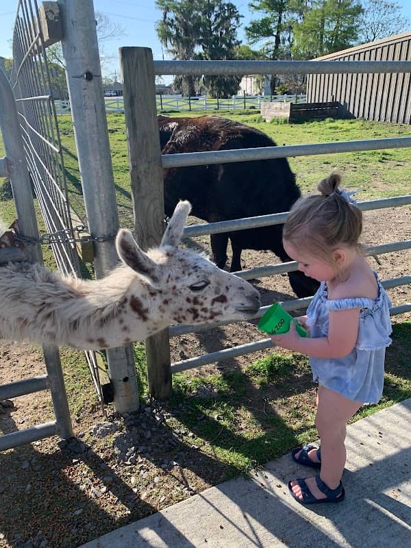 Morgan City Petting Zoo - Image 1