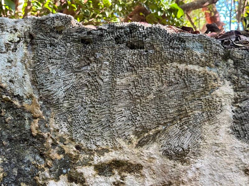 Windley Key Fossil Reef Geological State Park Visitor Center - Image 1