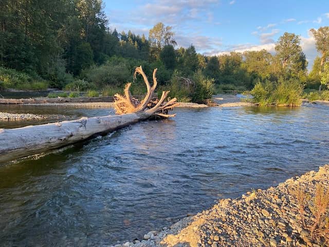 Ron Regis Park - Image 1