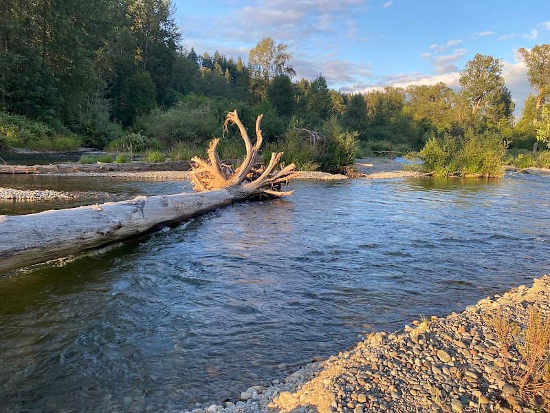 Ron Regis Park - Image 1