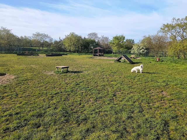 Dog Park - Image 1