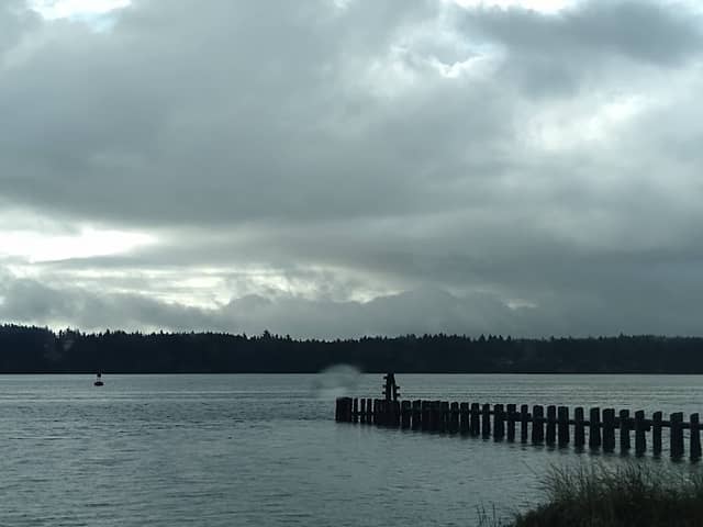 The North Spit - Image 1