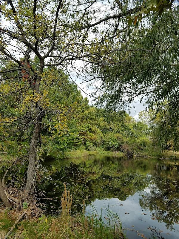 Shadow Lakes Park - Image 2