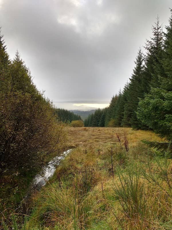 Cock Hill - Image 1