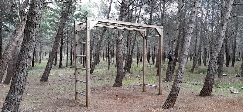Pineta di Crispiano - Image 2