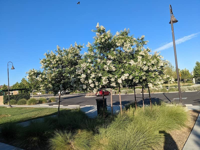 Central Park - Image 1