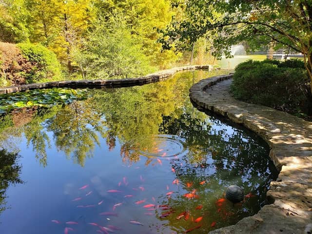 Clark Gardens - Image 2