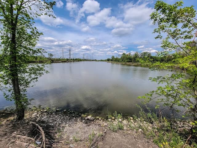 Salt Creek Marsh - Image 1