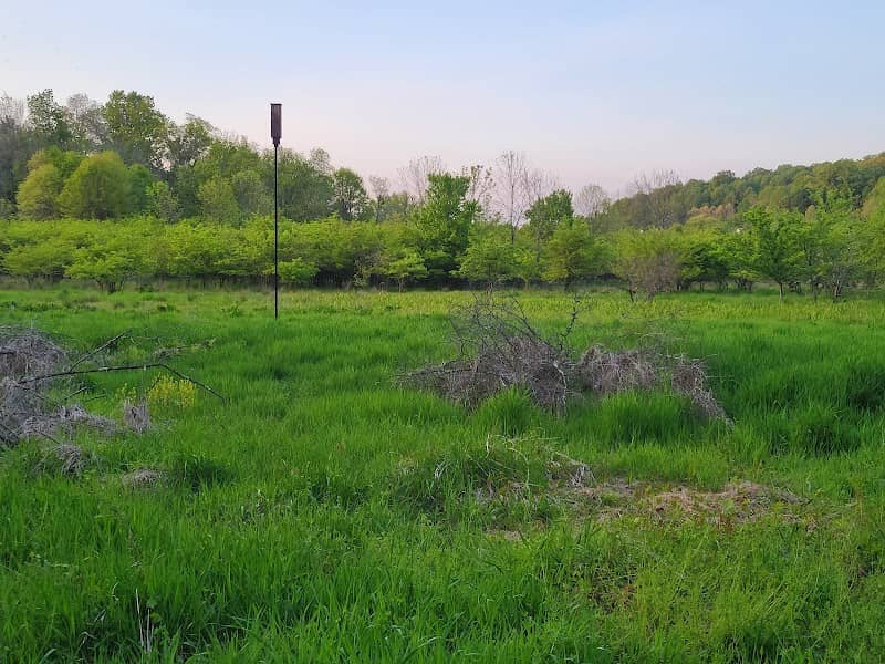 Barrett's Meadow - Image 1