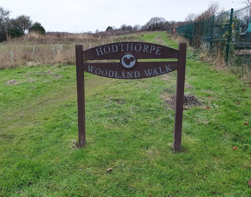 Hodthorpe Woodland Walk - Image 2