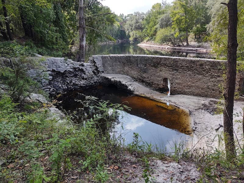 Suwannee Springs - Image 1