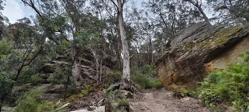 Tramway trail - Image 3