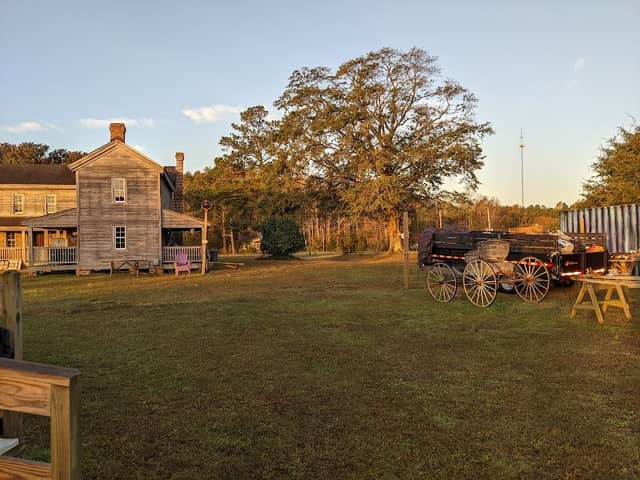 Historical McHorneys Odditorium - Image 2