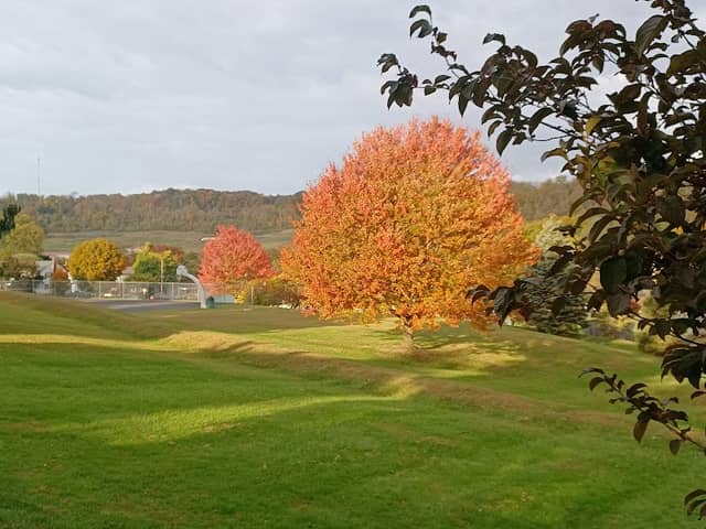 Jack Roberts Park - Image 3