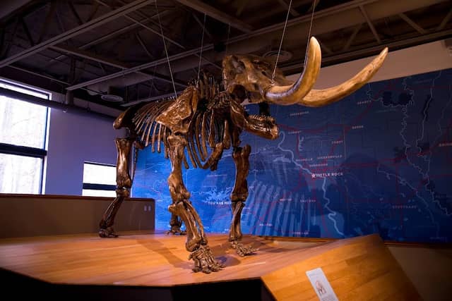 Mid-America Science Museum - Image 1