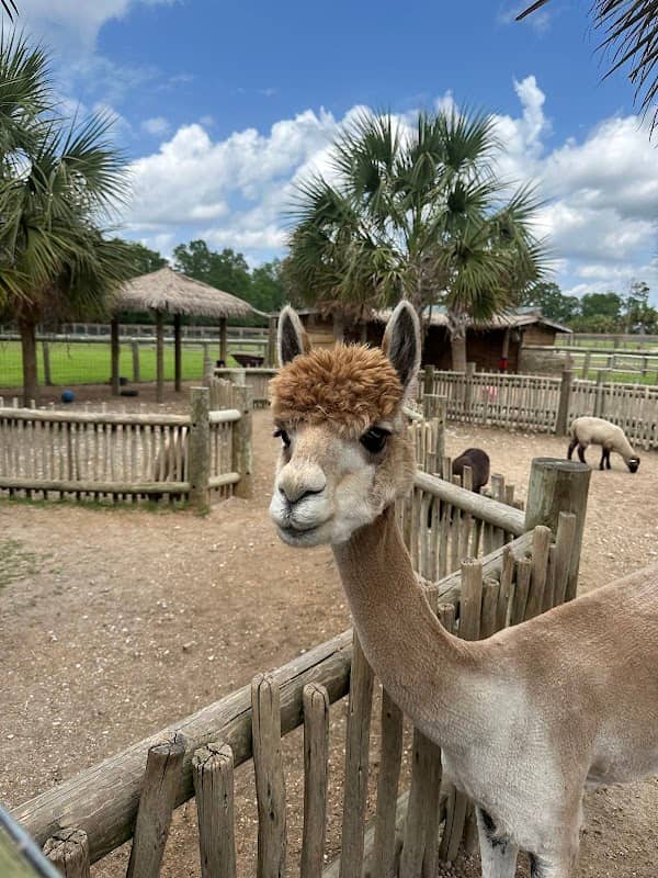 Eudora Wildlife Safari Park - Image 3
