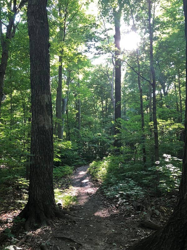 Cudahy Nature Preserve - Image 2