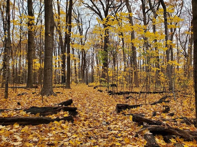 Cudahy Nature Preserve - Image 2