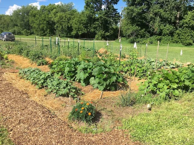Village of Middleville Community Garden - Image 1