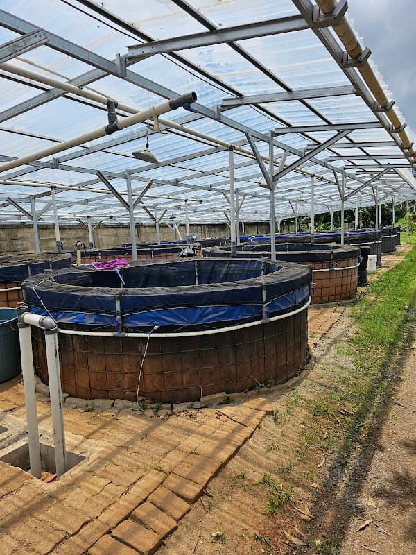 RMS Farm (Kebun&Ternak) - Image 1