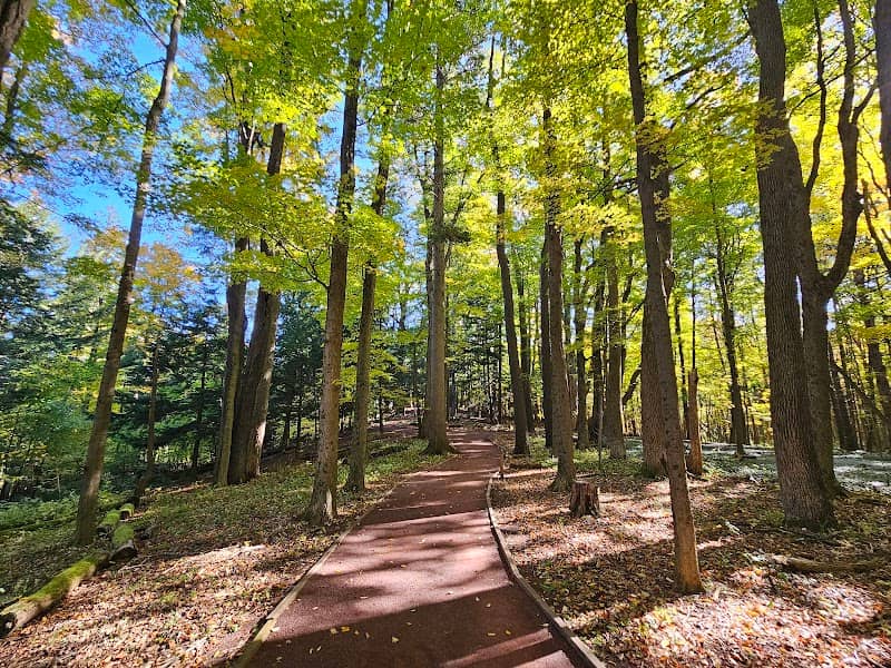 Root Glen - Image 1