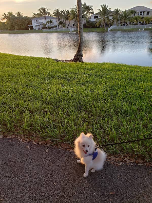 Island Park - Image 2