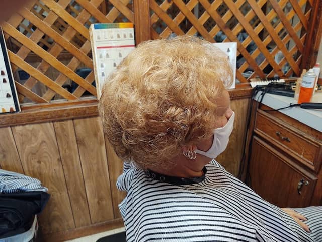 Mane Attraction - Image 1