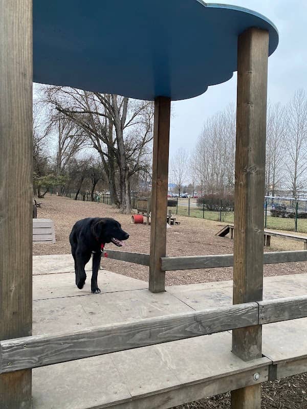 Dog Park Cora - Image 1