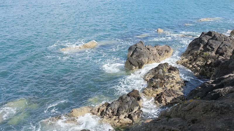 Whitehead lighthouse walk - Image 3