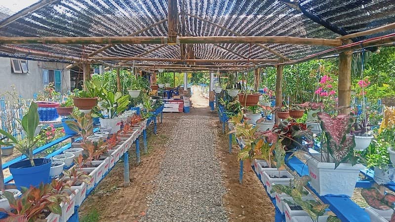 Tugu Rambutan Nursery - Image 1