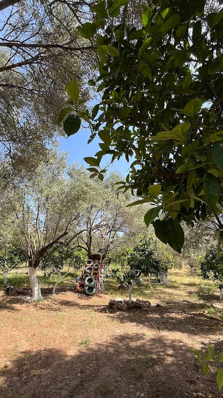 Saklı Cennet - Image 1