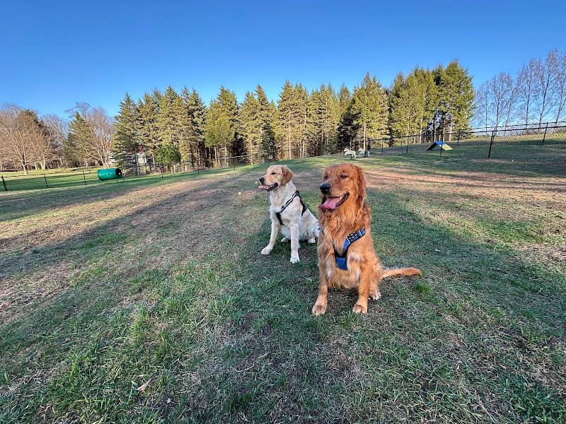 Bark Park - Image 1