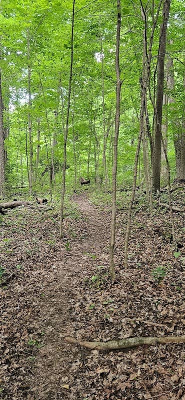 New Reid Park - Image 2